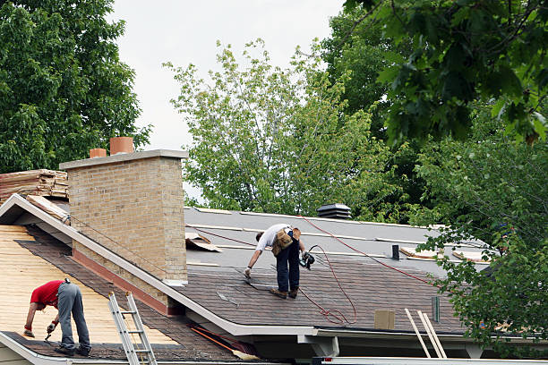 Best Roof Gutter Cleaning  in Southside Place, TX